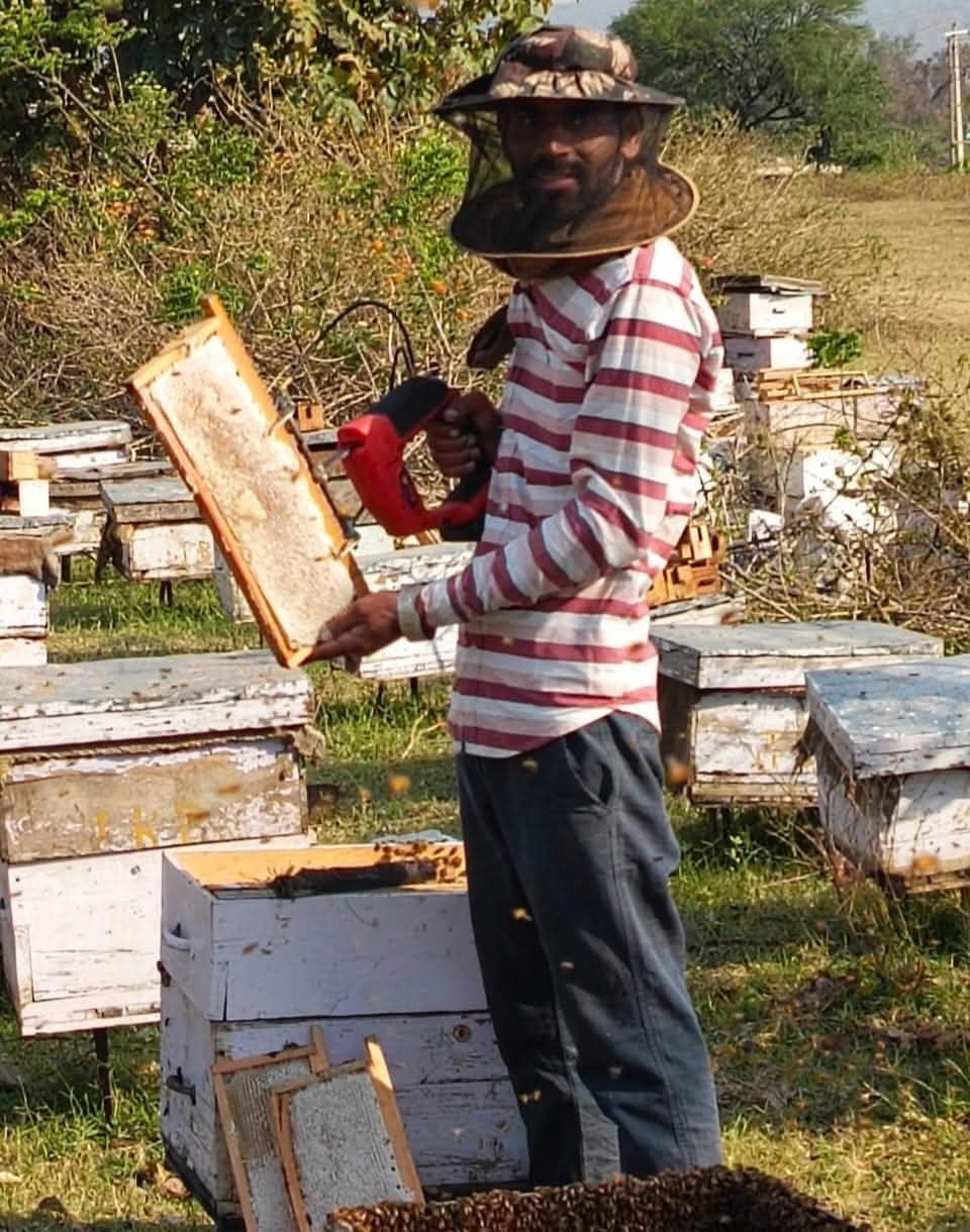 Beekeeper Farm
